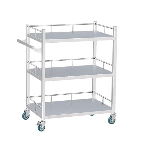OHaGin Carro utilitario de Acero Inoxidable de 3 Niveles, Carro de Servicio para Equipos, carros rodantes utilitarios con Ruedas de 360 °, Carro con Barra de manija, para hospitales, clínicas, spas