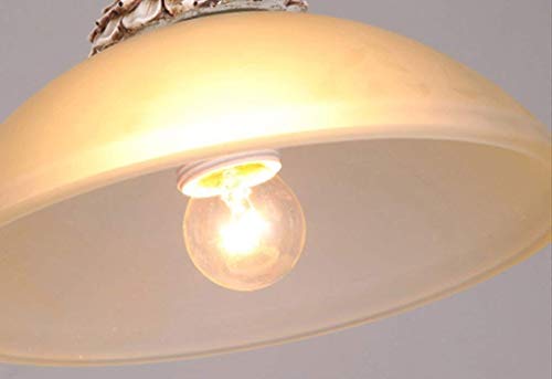 Zzyjyalg Retro Personality Antler Resin Rope Chandelier 60W European Style Farmhouse Hanging Light E27/E26 2 Head Pot Chandelier Glass Lamp Shade Restaurant Bar Coffee Rustic Style Chandelier #TOP6