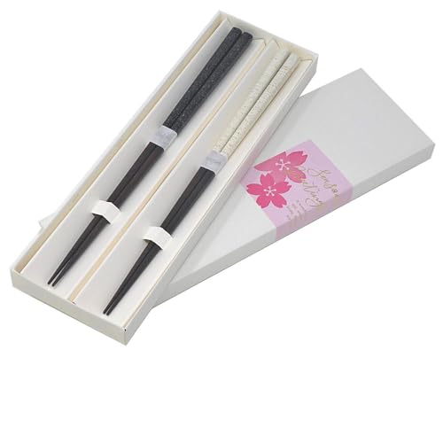 P蕨 悢 vw / 23cm/23cm {̓`H| ዷh { H@Ή j//ʂȋLOi j̔ 