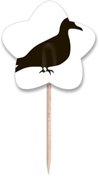 Black Pigeon Animal Portrayal Toothpick Flags Star Lable Cupcake Picks