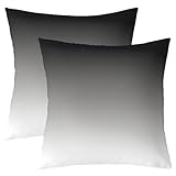 Feelyou Ombre Throw Pillow Covers 16'x16' Set of 2 Soft Ombre Grey Black Cushion Covers for for Couch Sofa Ombre Effects Abstract Art Design Decorative Pillowcases Outdoor Pillows Covers