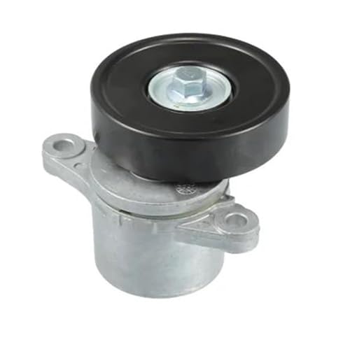 Tendeur de Courroie d'Accessoires Grand Vitara Moteur J20A 2005-2015