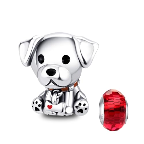 LNQOBU Silber 925 Charms Anhänger für Armbänder Kompatibel mit Pandora Europäischen Armbändern und Halskette （Mit Spacer Beads）