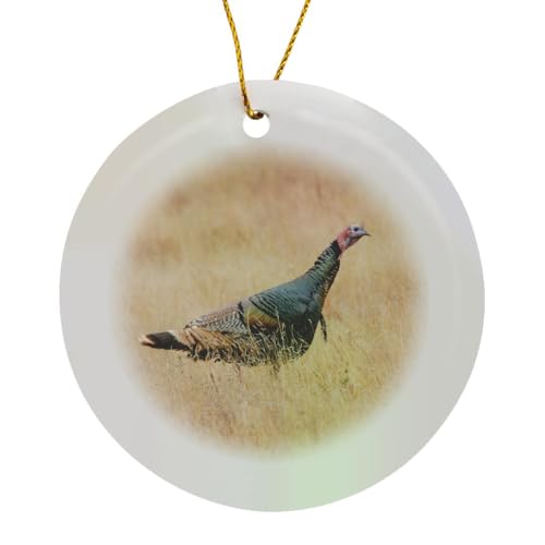 3dRose Wild Turkey, Meleagris gallopavo, Male Circle Porcelain Ornament