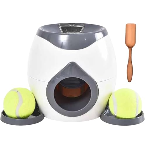 Holowa p{[`[ 2̃ejX{[Q[At[h[h}VAptC^NeBu (_[NO[,28x19cm)