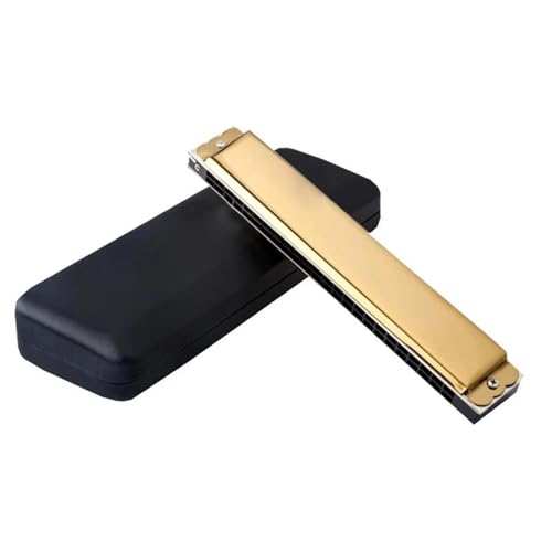 ��l �n�[���j�J 24 ���g������ �n�[���j�J A/A#/ B/C/D/D# /E/F/F# /G/G# �n�[���j�J �Z�b�g �v���t�F�b�V���i�� �g������ �n�[���j�J(Gold,BB)