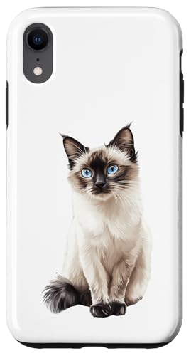Sweet Ragdoll Cat Blue Eyes �L �L �y�b�g�D�� �X�}�z�P�[�X iPhone XR �p
