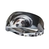 Pastor Australiano Invierno Blanco Nieve Perros Grises, Banda para el Sudor Deportiva para Diademas múltiples Unisex Diademas para el Sudor Diademas elásticas para el Cabello