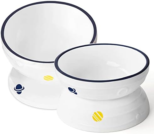 Hasense Tilted Cat Bowl Anti Vomiting, Double Raised Cat Bowls for Food and Water, Elevated Ceramic Small Dog Feeder, Protect Pet's Spine, Dishwasher Safe, Porcelain Slanted Dishes, White Set of 2