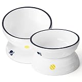 Hasense Tilted Cat Bowl Anti Vomiting, Double Raised Cat Bowls for Food and Water, Elevated Ceramic