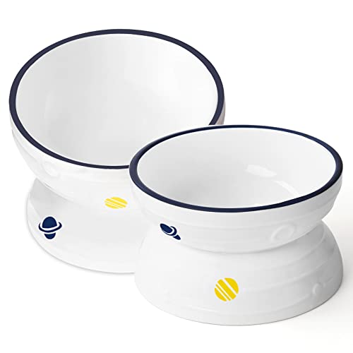 Hasense Tilted Cat Bowl Anti Vomiting, Double Raised Cat Bowls For Food And Water, Elevated Ceramic Small Dog Feeder, Protect Pet's Spine, Dishwasher Safe, Porcelain Slanted Dishes, White Set Of 2 #TOP30