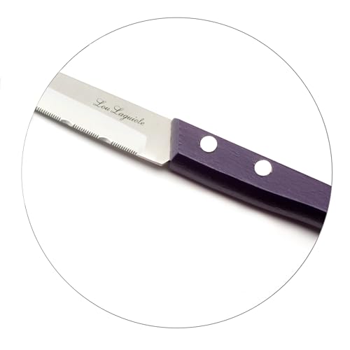 Set cuchillos cocina 4 piezas acero inox miniatura 4