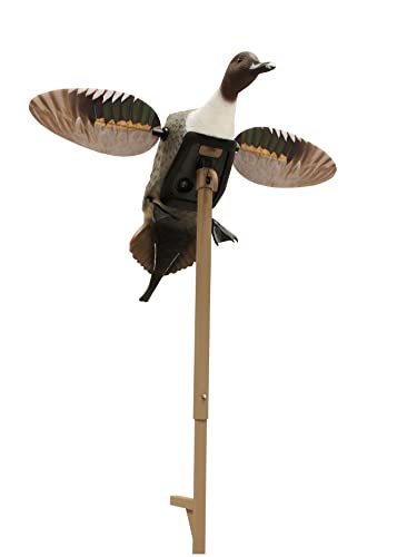 Leurre de chasse Mojo Outdoors HW2469-2 pour l'affût en marais