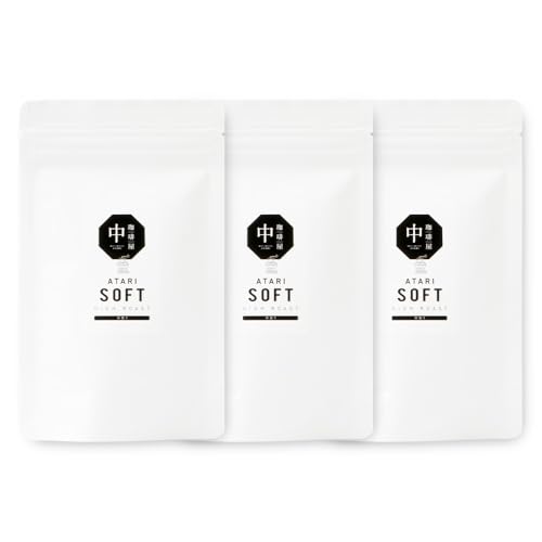 [3回定期便]珈琲屋 中-ATARI- SOFT (中煎り) High roast 100g×3袋×3回 CO-12 (粉タイプ)