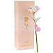 Produktbild EisEyen 24K Galaxy Rose mit/ohne Licht Geschenk zum Valentinstag Jubiläum Geburtstag Hochzeit (Ohne Licher. pink)