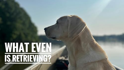 What Even is Retrieving?