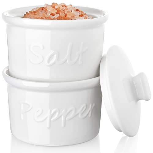 ALELION Salt and Pepper Bowls, 9 Ounce Ceramic Salt and Pepper Cellar with Lid for Home Kitchen, Stackable Salt Cellar for Table Salt, Set of 2 Salt Container, Christmas Gift Ideas, White