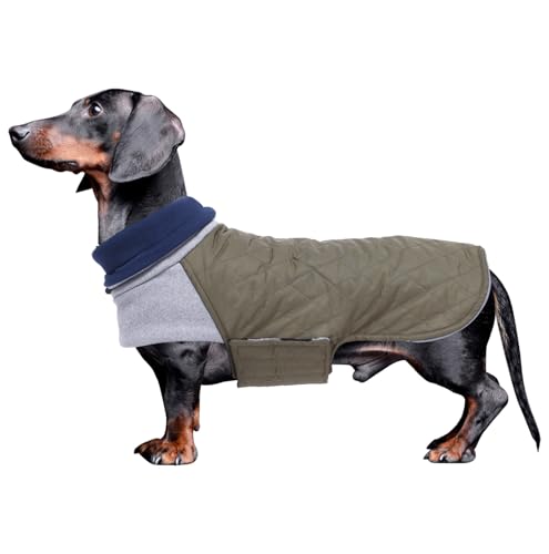 Geyecete Hundemantel Dackel, Dackel Wintermantel, Warmer Quilten Dackelmantel mit Geschirr Loch,Winddicht Rollkragen Hundejacken, Miniatur Dackel Weste für kleine Hunde-grün-S