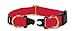 PetSafe KeepSafe Collar for Dogs - Protects Against Collar Accidents - Long Lasting - Durable - Adjustable - Breakaway - Outdoor-Safe - Large - 1 in. Wide - Red