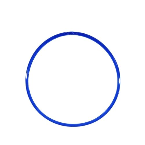 Joint de chambre 3870-D bleu d'autoclave et pièce de rechange pour stérilisateur