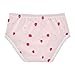 GuoChe Cotton Briefs All Seasons Panties Toddler Cotton Underwear for Kid in Sizes 2T,3T, 4T, 5T, 6Y and 8Y