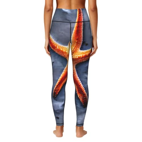 Leggings de playa EKPASVC estampado estrella de mar conjunto elástico transpirable 4