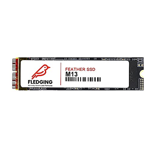 Fledging 1TB Feather M13-S PCIe NVMe Gen 3.0x4 SSD Upgrade – DIY kit & OS Included – Compatible with Apple MacBook Air (2013-2015) & Pro (2013-2016), Mac Mini (2013) & Pro (2014), iMac (2013-2019)