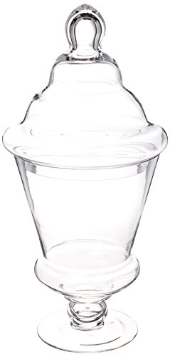Darice XD1275 Jar with Lid-Clear Glass-Large-16-1/2 inches