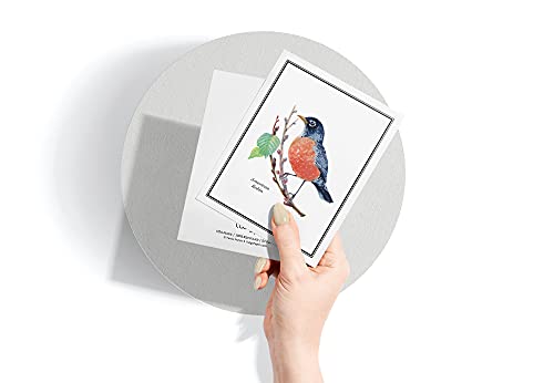 Image of Twigs Paper Birds of America Thank You Cards, 24 Blank Note Cards