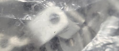 (10 PC) 8100 Compatible with KEYSTONE CBL CLAMP P-TYPE SILVER FASTENER