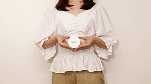 Amazon | PRISMATE（プリズメイト）アイスパック ハンディファン用 PR