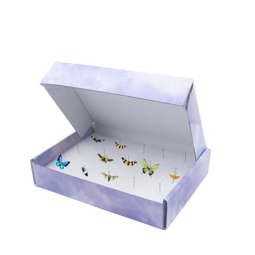 Image of 4 PCS Insect Pinning Boxes for Entomology, Suitable for Project Bugs Collection and Specimen Displays, 7.9 x 5.5 x 1.6 Inch
