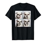 Diseños divertidos de fotos de fotos