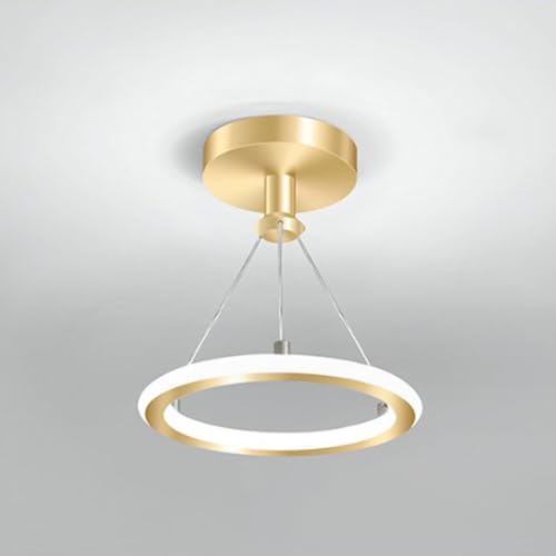 LIGKIN LED Plafonnier Moderne 19W Lampe de Plafond en Aluminium 20CM Lumière Blanche 6500K, Fil de Suspension Rond Acrylique éclairage d'intérieur pour Cuisine Escalier Chambre(Doré)