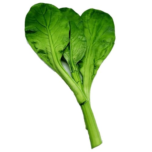 LJKLAJ Vegetable Simulated Model Simulated Fake Green Vegetable Model Artificial Vegetables Decorative Fake Vegetables Kitchen Decoration