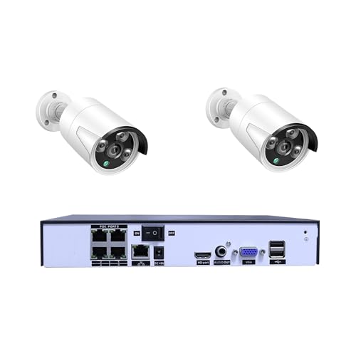 AIRYSSFU Kits de vigilancia DVR, H.265 + 8CH 4.0MP PoE NVR Kit CCTV 4MP cámara IP detección P2P IR vídeo Exterior vigilancia de Seguridad(None,4CH NVRX2pcs 4MP CAM)