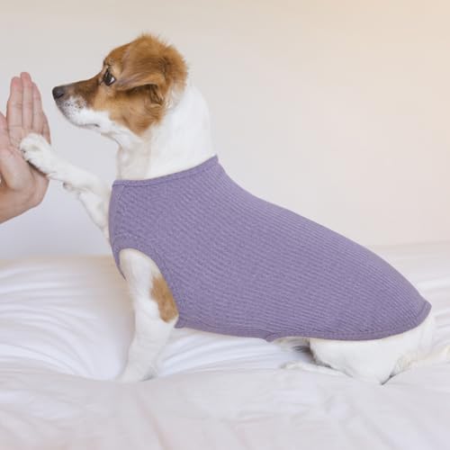 Hundeshirt für Kleine Hunde | Sommer Hund T-Shirt Atmungsaktiv & Leicht | Weich & Bequem, Rundhals Design | Hunde Bekleidung | Chihuahua, Yorkshire Terrier (Lila XS)