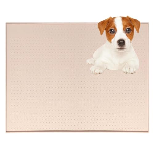 Lifetips WbNEbZEeA (Jack Russell Terrier) gC}`FX^[eA ybggC}bg VR h ~ 􂦂  L V[gh~ g[p t[Oی ybggC}bg V