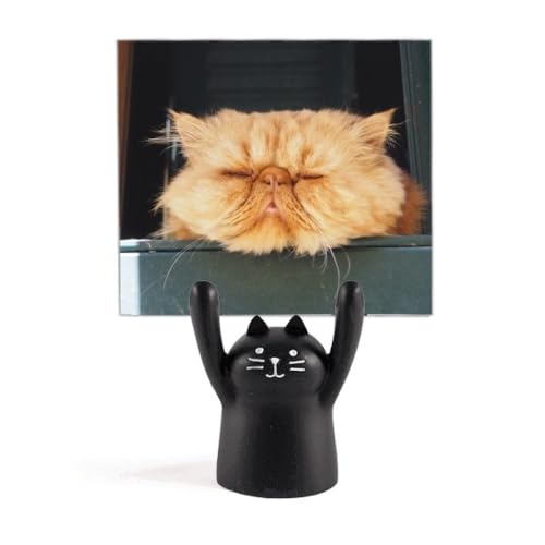 ̉F̔L J[gD[LX^h^z_[