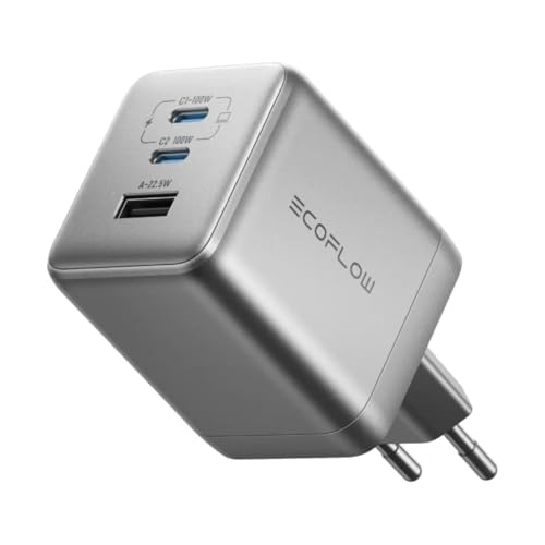 Ecoflow 100W Charger No cable (EFA-100W-GAN-CHARGER-EU)