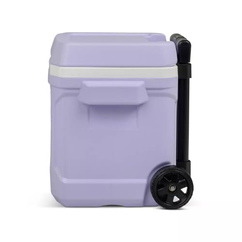 Image of Igloos Cooler Hard-Sided Ice Chest, Insulated Portable Cooler, Heavy-Duty, Leak-Resistant Lid, Lightweight Ergonomic Handle