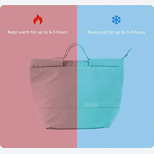 Cute Insulated Thermal Lunch Bento Box Bag Tote for Adult Women Men Girls Boys to Office Work Travel Picnic Hiking Camping