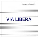 Il volo del coleottero