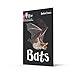 Bats (Big Cat Phonics for Little Wandle Letter)