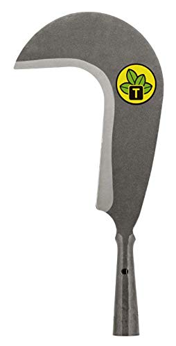 Foice Haiti, Sem Cabo