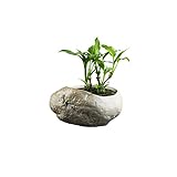 Diamètre du vase : 11 cm, hauteur : 9 cm, la grenouille mesure 3,5 cm de diamètre. Fleurs non incluses.