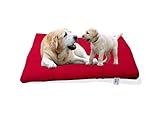 🐾CUSCINONE trapuntato, questa letto per cani dallo stile moderno-contemporaneo offre il massimo comfort per il tuo amico peloso! Disponibile in diverse fantasie. Adatto per cani giovani e anziani