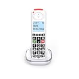 SWISSVOICE - Xtra 55 Handset - Portatile aggiuntivo per telefono cordless - DECT Swissvoice Xtra 2355, Xtra 2355 Duo e Xtra 3355 Combo - Facile da installare - Non funziona da solo con un modem
