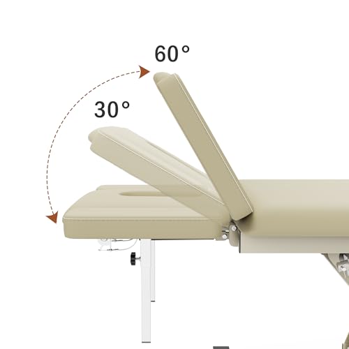Image of 2 Motors Electric Massage Table, Hydraulic Electric Lift Adjustable Waist and Height Lifting Functions for Treatment, Physical Therapy, Spinal Massage, Facial Spa, Waxing, Tattooing - Beige Gray