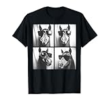 Funny Horse Wearing Sunglasses Photo Booth Selfie